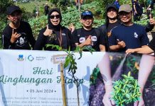Penanaman Pohon Pada Lahan Kritis 2024