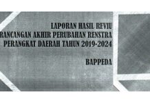 Laporan Hasil Reviu Atas Rancangan Akhir Perubahan Renstra BAPPEDA Garut Tahun 2019-2024