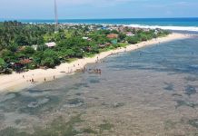 Pembentukan Organisasi Lembaga Teknis Daerah