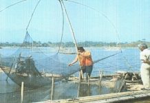 Kajian Pengembangan Usaha Perikanan Di Kawasan Situ Bagendit Kabupaten Garut