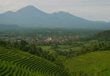 Undang-Undang Nomor 14 Tahun 1950 tentang Pemerintahan Daerah Kabupaten dalam Lingkungan Propinsi Djawa Barat