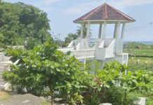 Gambaran Capaian dan Permasalahan Kinerja Pemerintah Kabupaten Garut Tahun 2014-2023