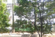 Kebijakan Strategis Pencapaian ‘Zero Stunting’ di Jawa Barat Tahun 2024