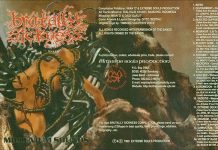 Brutally Sickness – Millenium Sounds