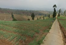 Pencapaian 100 Hari Kerja Bupati dan Wakil Bupati Garut (20 Februari – 31 Mei 2025)